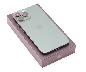 iPhone 13 pro max 256GB (2 фото из 3)