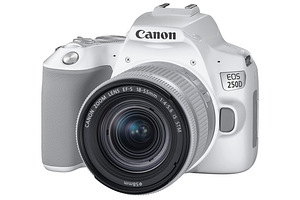Canon EOS 250D + EFS 18-55mm 0.25m/0.8ft (1 foto / 2)