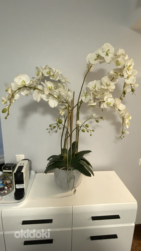 Орхидея искусственная (фото #1)