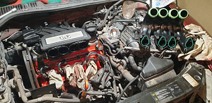 MÜÜA ŠKODA OCTAVIIA 1.6 BENSIIN, 2008. AASTA (3 foto / 12)