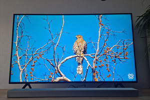 SAMSUNG | 4K/Smart | 55" | 3840x2160 | Wireless LAN | Tizen (3 foto / 6)