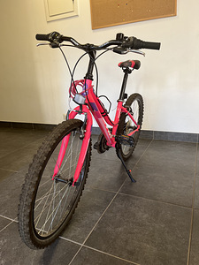 CTM Mony 24" (2 фото из 5)