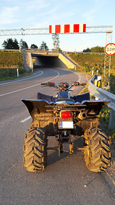 Квадроцикл Bashan ATV 200cc (2 фото из 10)
