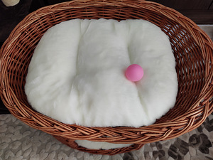 Кошачий домик (4 фото из 4)