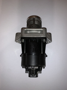 EGR klapp WAHLER (Borg Warner) WA710559D - Alfa Romeo/Fiat (4 foto / 6)