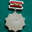 Наградная медаль "60 ГОЭЛРО" (фото #2)
