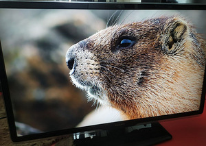 47" Philips Ambilight Full HD telekas (1 foto / 6)
