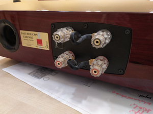 Kvaliteetne DALI HELICON C200 MK2 keskkõlar (8 foto / 9)