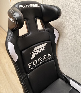 Forza Motorsport Playseat rallitool (3 foto / 3)