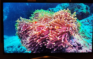 49" Samsung 4K UHD SMART WiFi teler telekas televiisor TV (4 foto / 5)