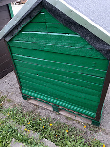 Koerakuut (2 foto / 3)