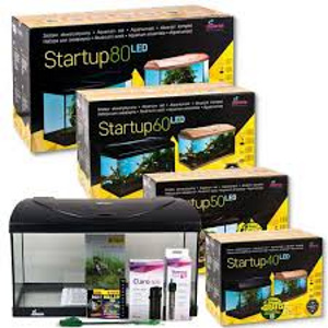 Akvaariumi komplekt Diversa StartUp-80 LED, 112L (3 foto / 3)