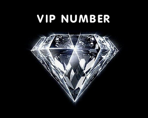 VIP НОМЕР (1 фото из 2)