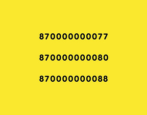 Mittestandardne telefoninumber (1 foto / 1)