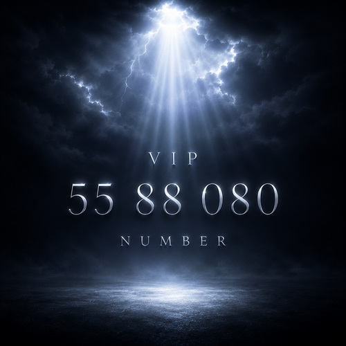 VIP NUMBER