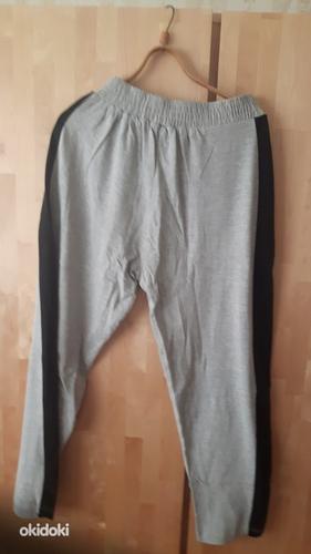 Mужские спортивные штаны Tapout, размер XL (фото #2)