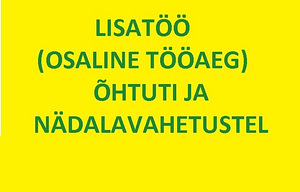 Lisatöö õhtuti ja nädalavahetustel laste mängutoas