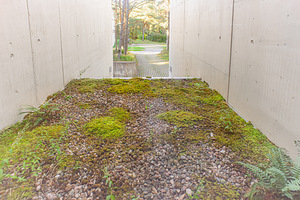 Männimetsa tee 10, Nõmme, Tallinn, Harjumaa (19 foto / 50)