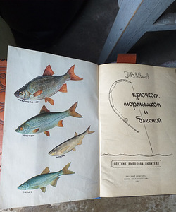 Raamat kala kohta