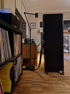 Tellurium Q Ultra Black kõlarikaablid 3m (3 foto / 4)