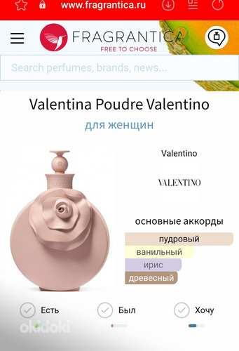 Valentina shop poudre fragrantica