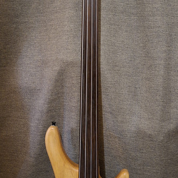 Безладовый бас Stagg Fusion