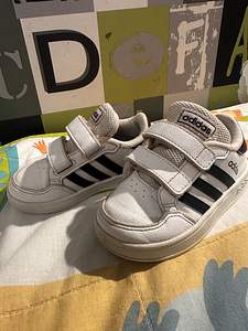 Adidas s. 23