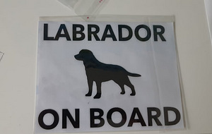 Labradori armastajate autokleebis (1 foto / 1)