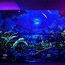 Флуоресцентная УФ краска Нокстон для декора (фото #1)
