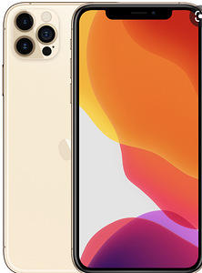 iPhone 12 pro max, 128GB, gold. Garantii kuni 22.05.2022 (2 foto / 2)