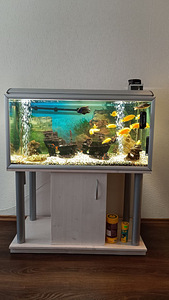 Akvaarium 300l (1 foto / 2)