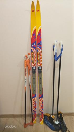 Лыжи+палки+ботинки (фото #1)
