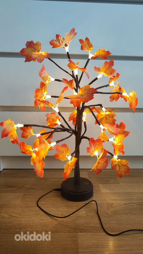 Öölamp