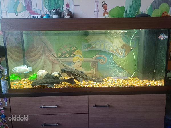 Led rio 240 akvaarium