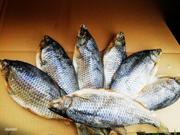 Kuivatatud kala pakendis Peipsilt 2022 (foto #1)