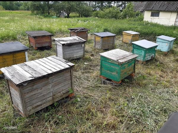 Домики для пчёл (фото #7)