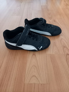 Puma tossud 24 (2 foto / 2)