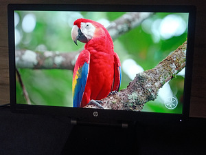 Монитор HP E231 23" FullHD 1920x1080 (2 фото из 4)