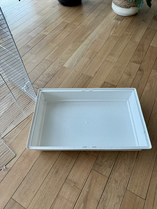 Puur närilistele (4 foto / 4)
