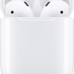 Bluetooth kõrvaklapid Apple Airpods 2 gen + ümbrik (1 foto / 5)
