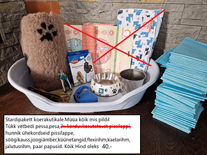 Lemmikloomale (1 foto / 7)