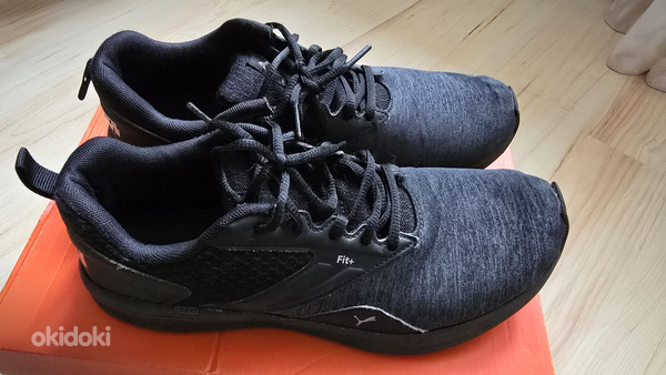Puma tossud