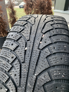 R19 veljed + hakkapeliitta sport plus (2 foto / 3)