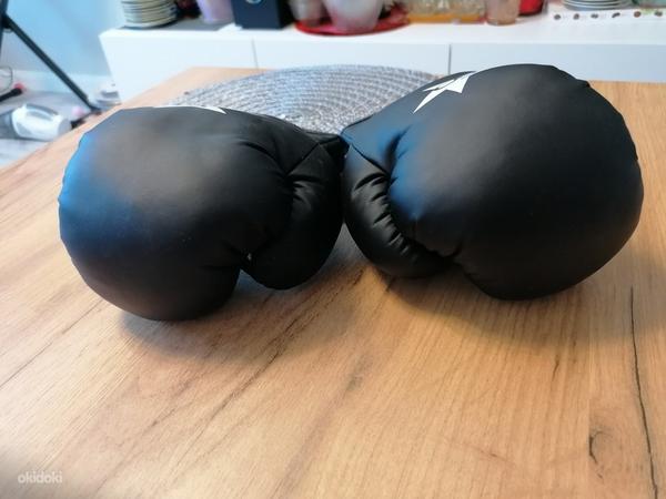 Боксерские перчатки Starpro (фото #5)