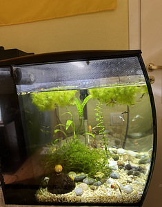 Akvaarium FLUVAL 57L (3 foto / 5)