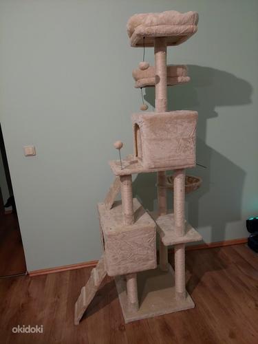 Kassi kraapimispuu maja /Scratching post for cats (foto #2)
