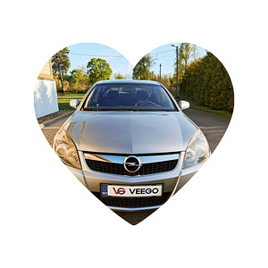 Opel Vectra Facelift (1 фото из 15)