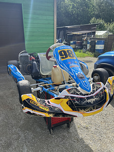 Продается Tony Kart Racer с двигателем Rotax Max Evo (2 фото из 5)