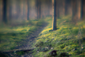 Haruldane! 85mm f0.79 üli valgusjõuline objektiiv (8 foto / 10)