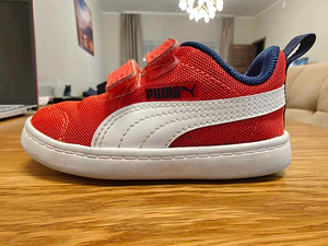 Puma tossud, s 22 (1 foto / 3)